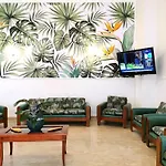 Hotel Tea - A Mare Praia a Mare