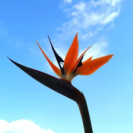 Hotel Tea - A Mare Praia a Mare